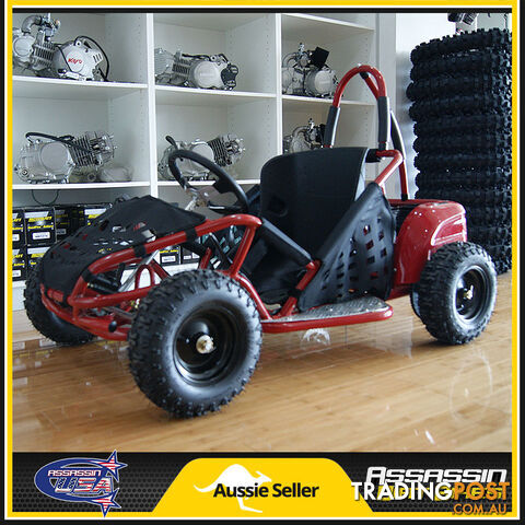 ASSASSIN USA 1000 WATT BRUSHLESS 48V KIDS BUGGIE GO KART ATV 48V20AH