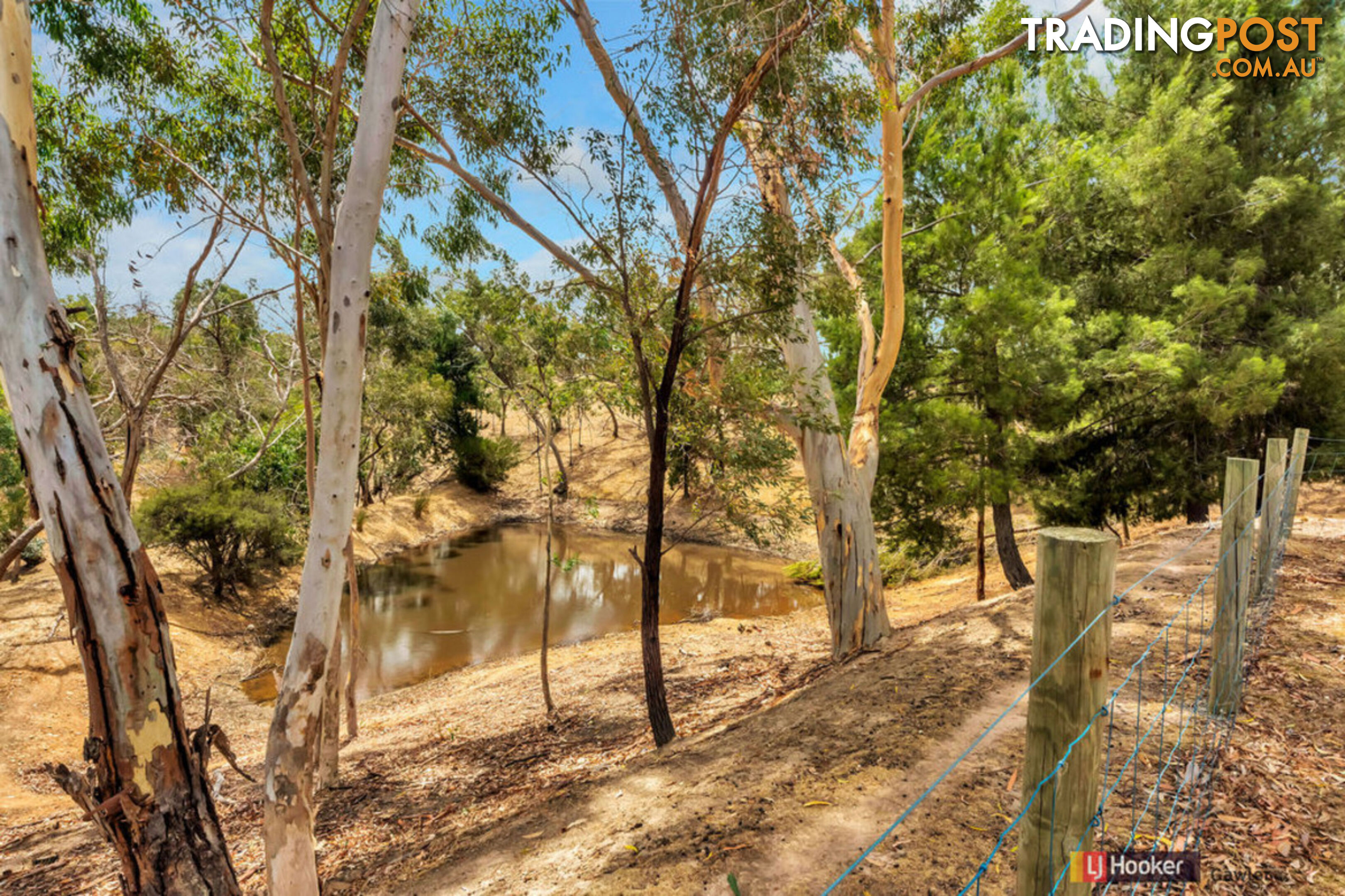 136 Bassnet Road (Humbug Scrub) ONE TREE HILL SA 5114