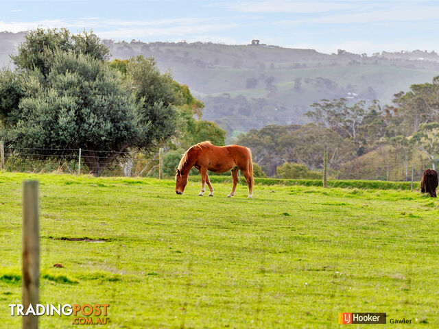 131 Kelly Hill Road (Humbug Scrub) ONE TREE HILL SA 5114