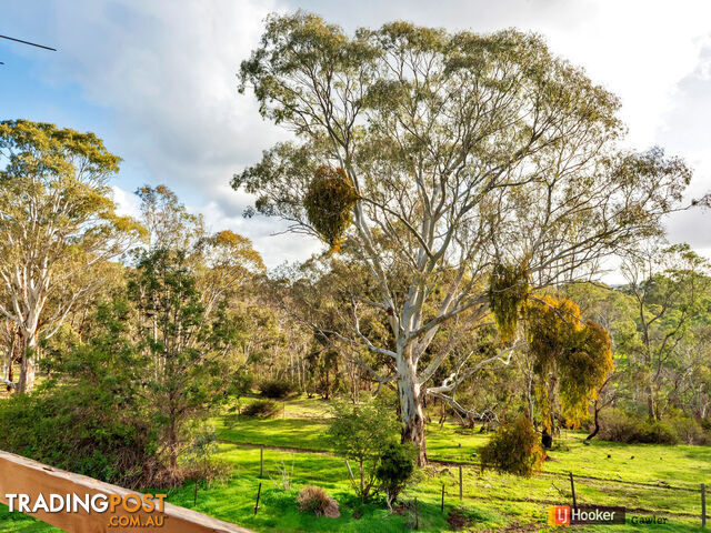 131 Kelly Hill Road (Humbug Scrub) ONE TREE HILL SA 5114