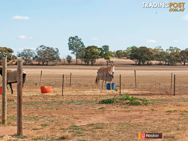 45 Fairlie Road (Ward Belt) GAWLER BELT SA 5118