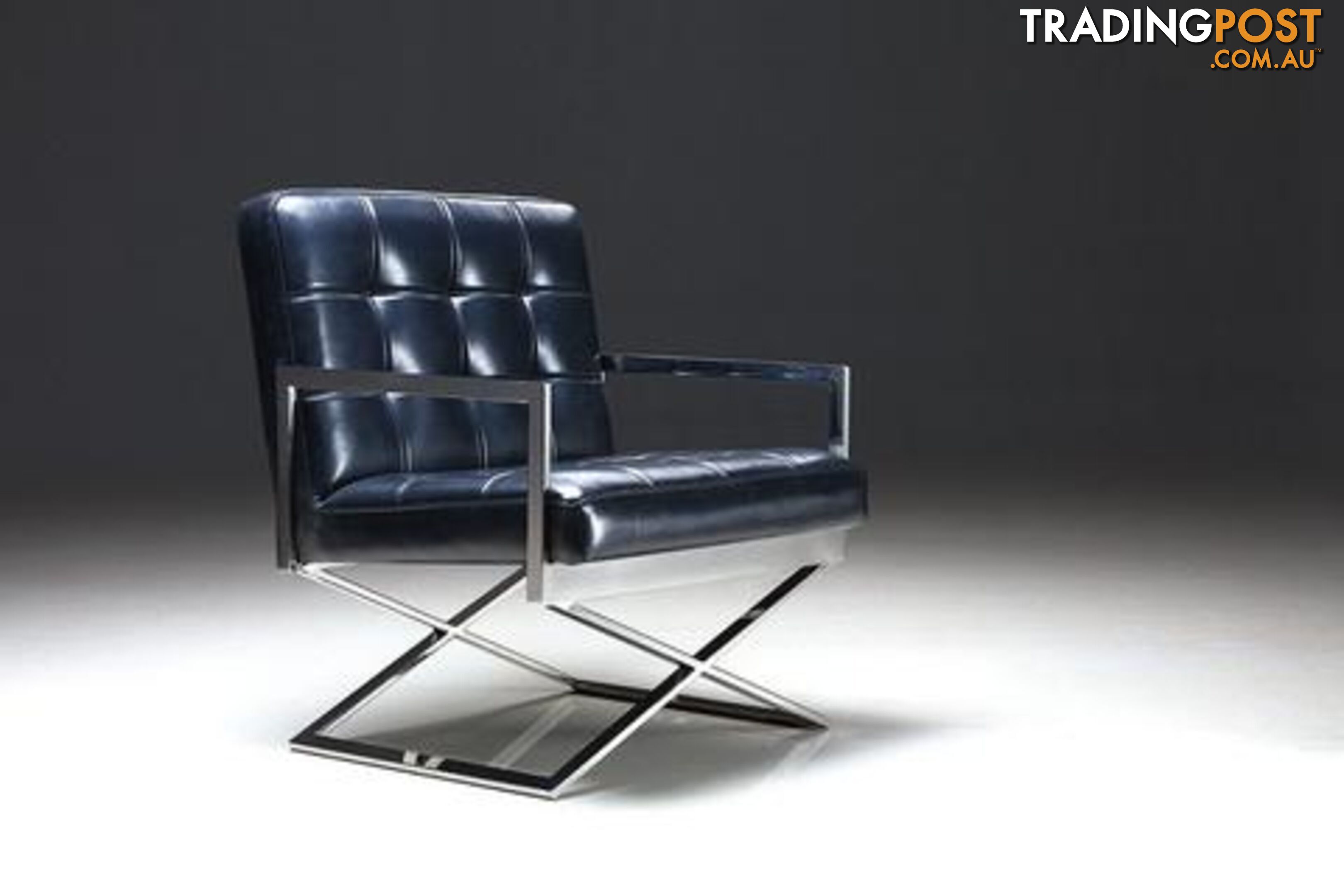 Modern Black Leisure Chair