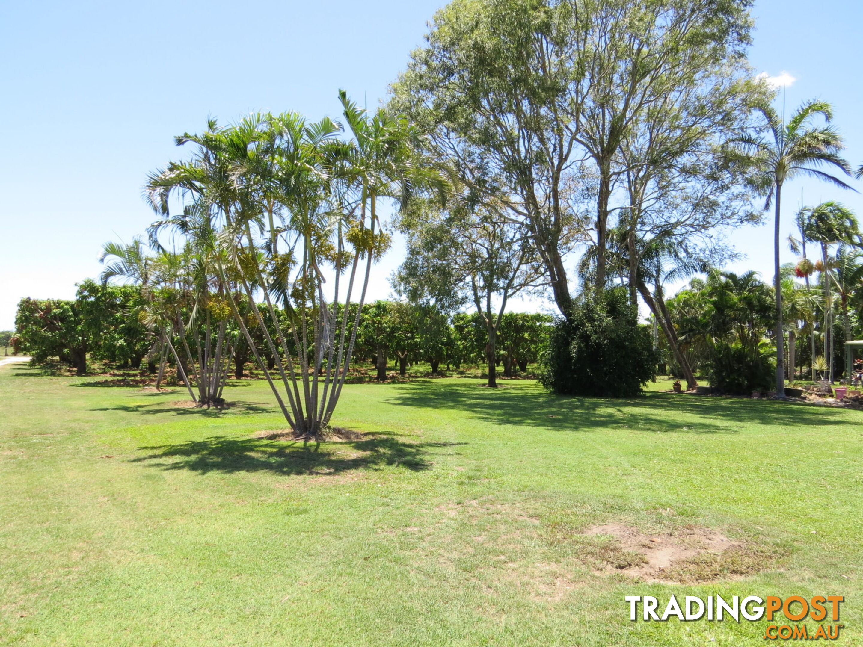 82 Weekes Road Bowen QLD 4805