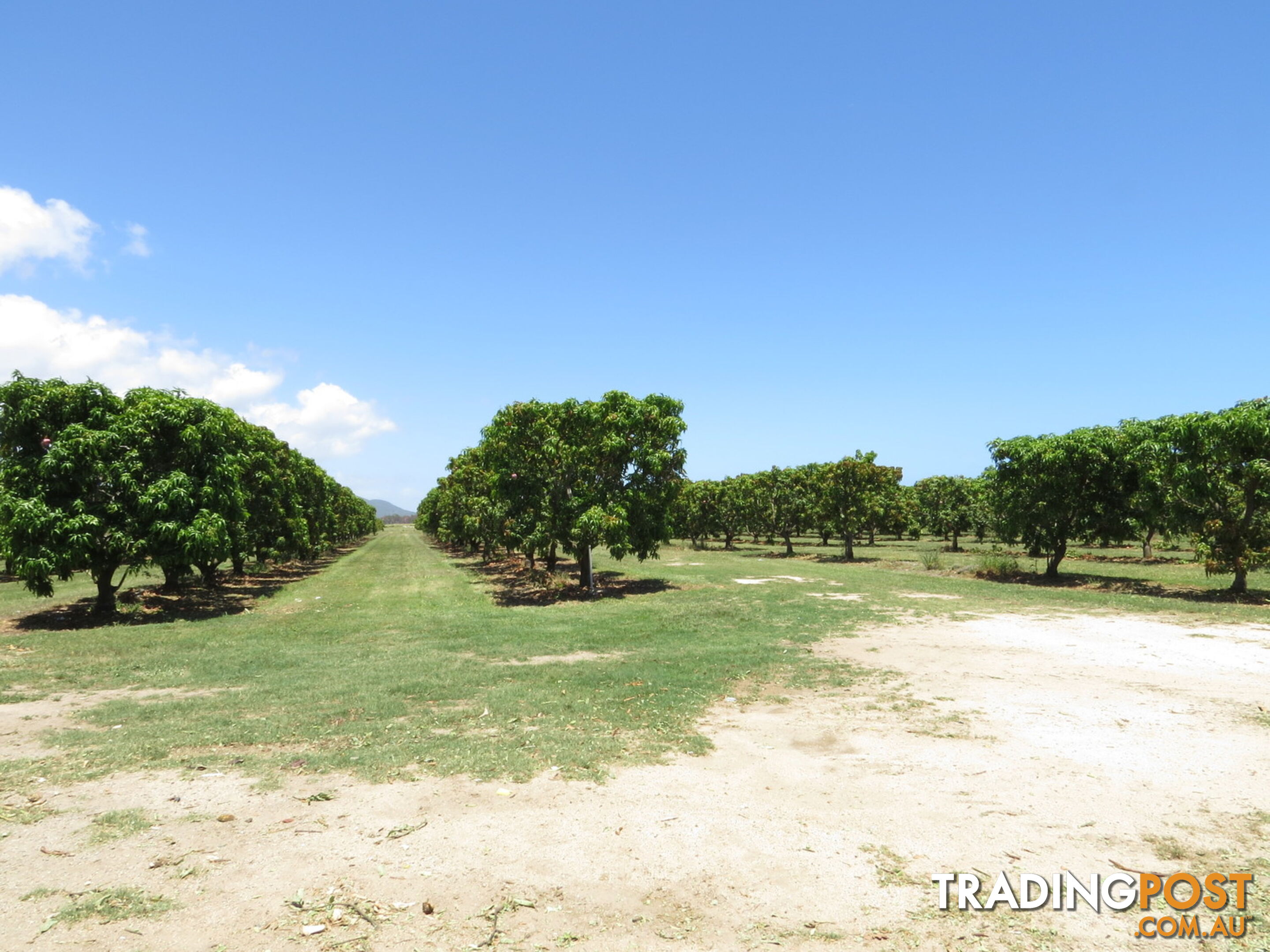 82 Weekes Road Bowen QLD 4805