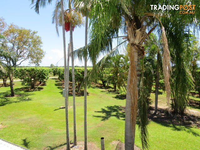 82 Weekes Road Bowen QLD 4805