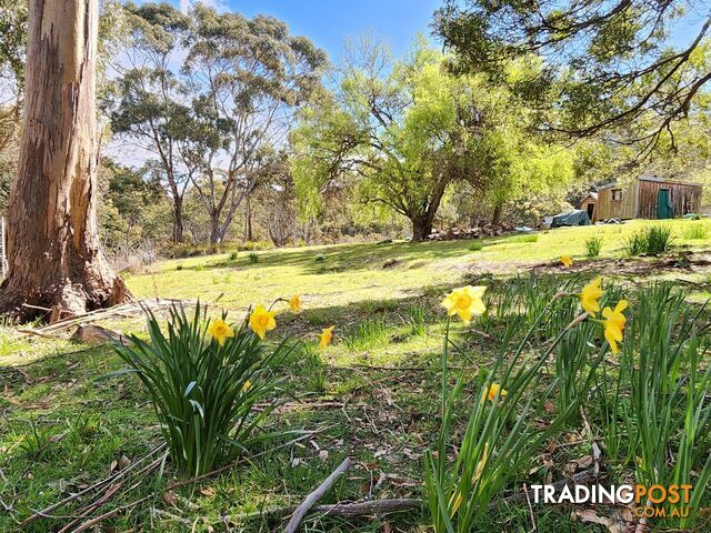 5 Alexander Street CORNWALL TAS 7215