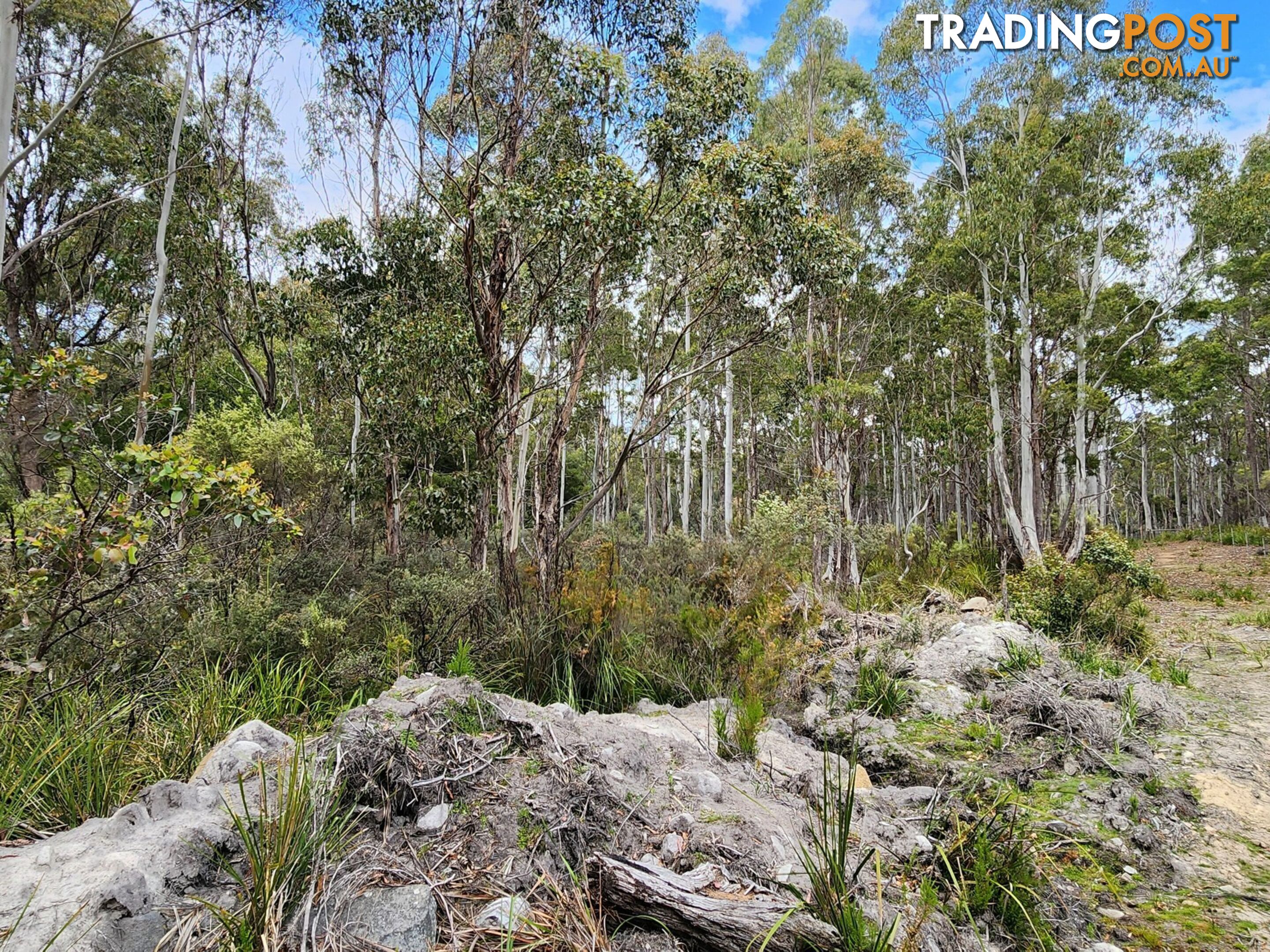 Lot Lot 1/221 Irish Town Road ST MARYS TAS 7215