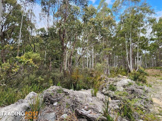 Lot Lot 1/221 Irish Town Road ST MARYS TAS 7215