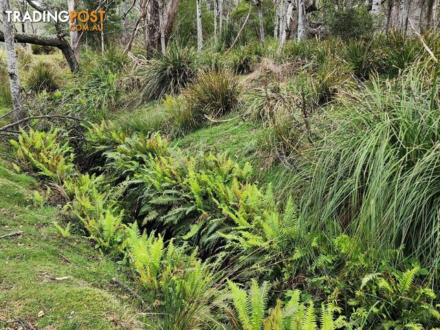 Lot Lot 1/221 Irish Town Road ST MARYS TAS 7215