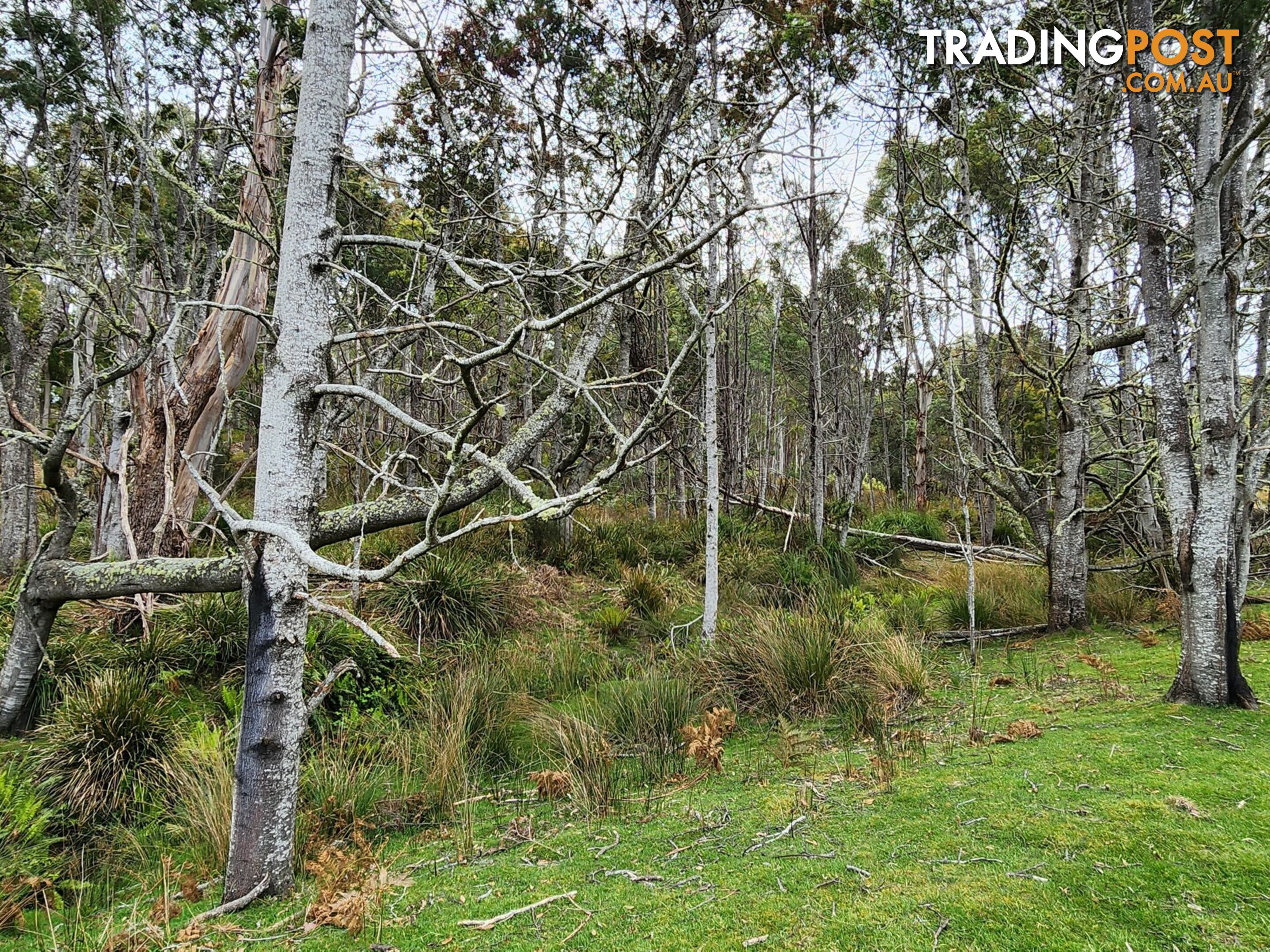 Lot Lot 1/221 Irish Town Road ST MARYS TAS 7215