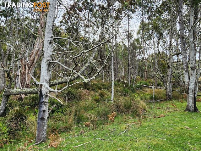 Lot Lot 1/221 Irish Town Road ST MARYS TAS 7215