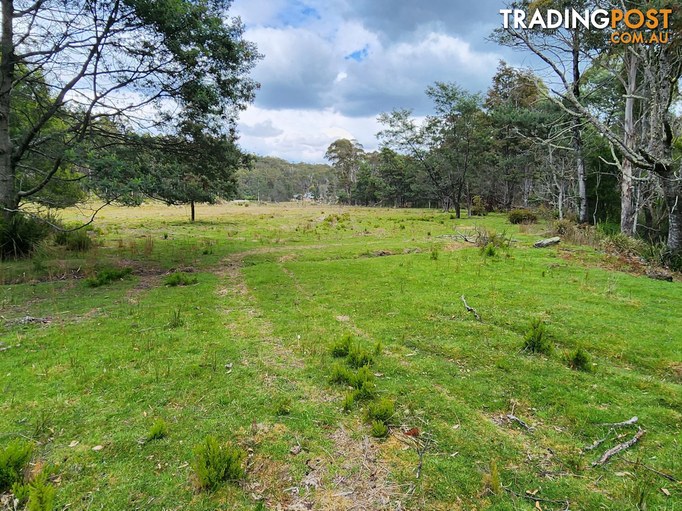 Lot Lot 1/221 Irish Town Road ST MARYS TAS 7215