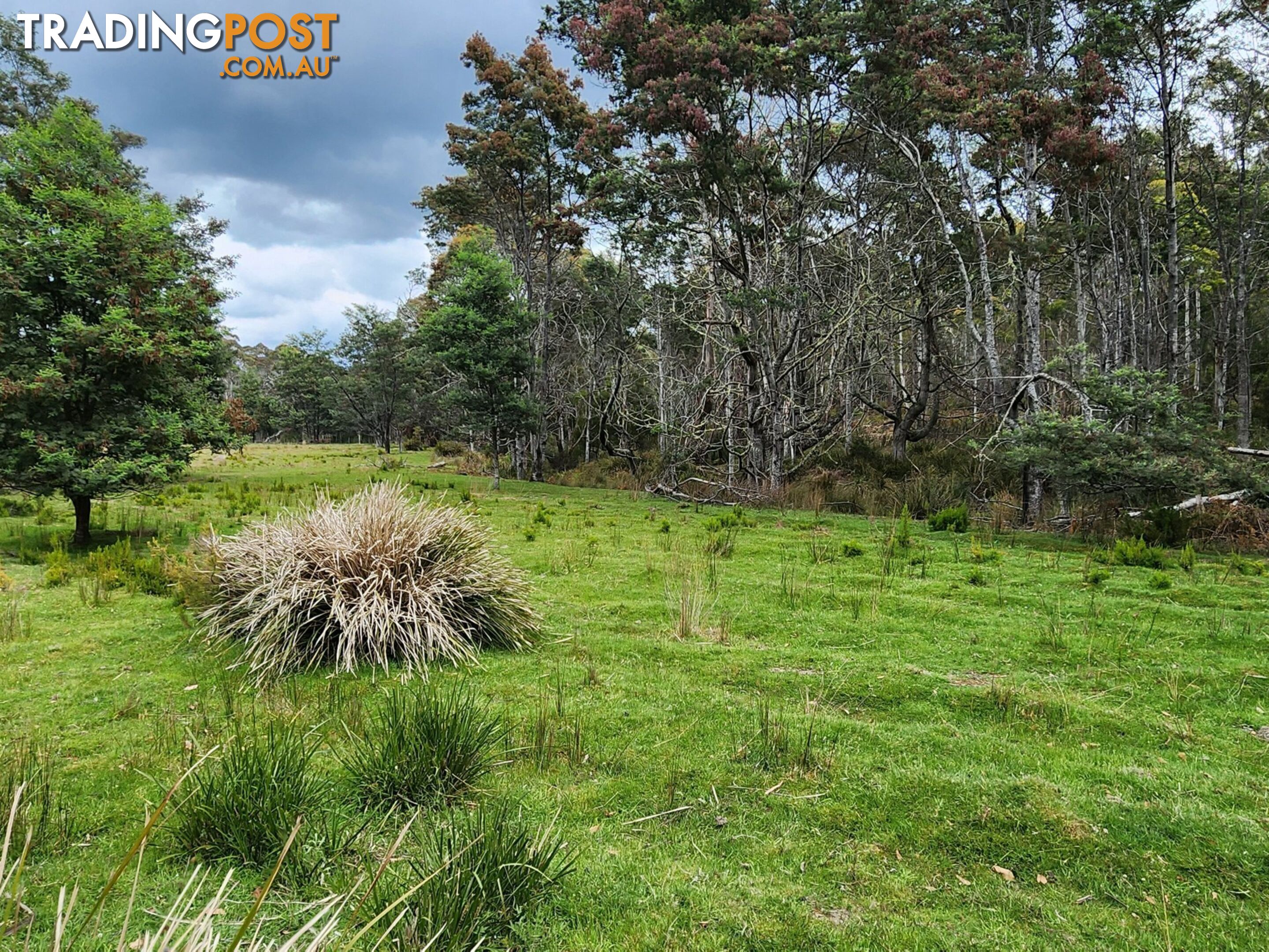 Lot Lot 1/221 Irish Town Road ST MARYS TAS 7215