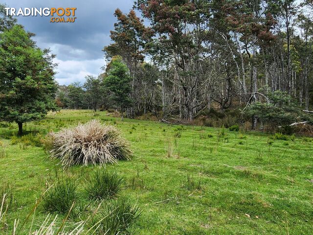 Lot Lot 1/221 Irish Town Road ST MARYS TAS 7215