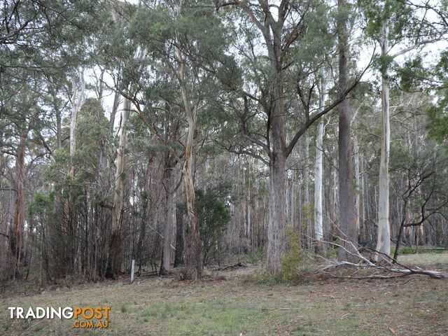 Lot 1 Gardiners Creek Road ST MARYS TAS 7215