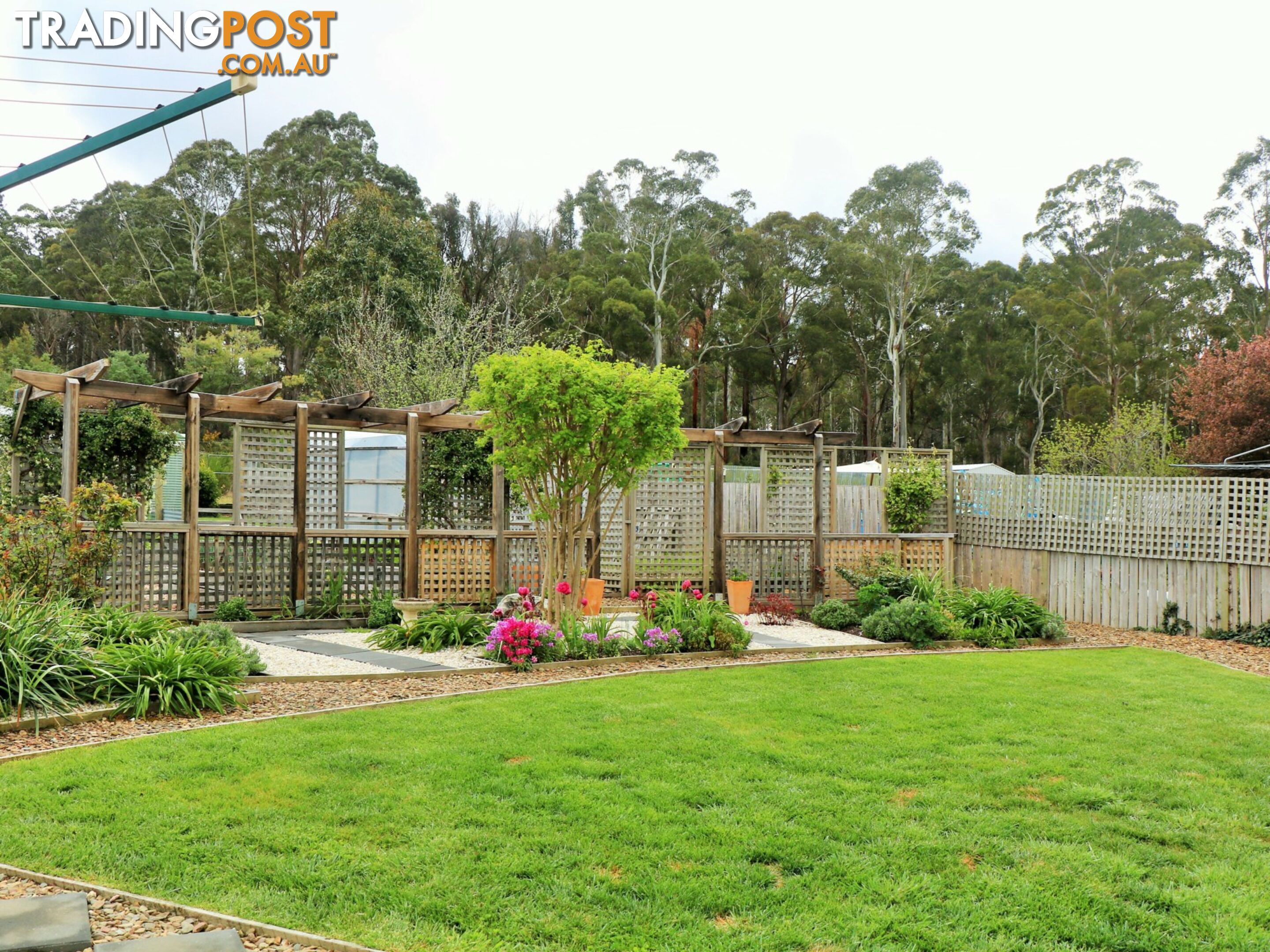 5 Frederick Street ST MARYS TAS 7215