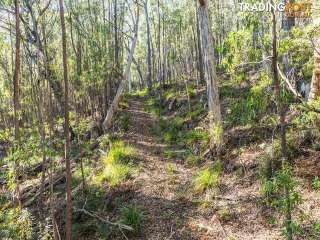 301 Gardiners Creek Road ST MARYS TAS 7215