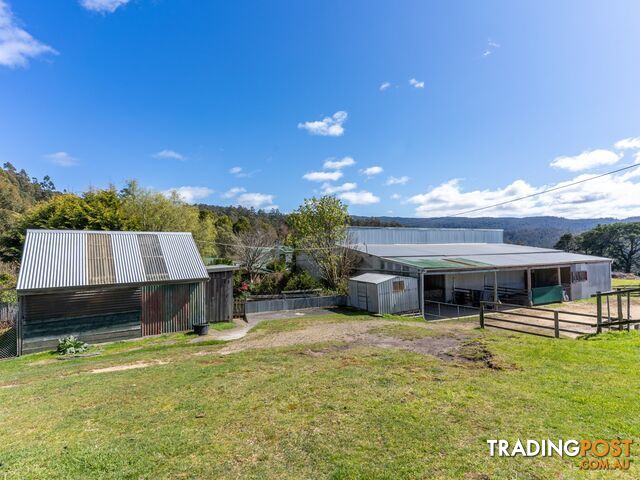 497 Lottah Road GOULDS COUNTRY TAS 7216