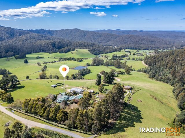 497 Lottah Road GOULDS COUNTRY TAS 7216