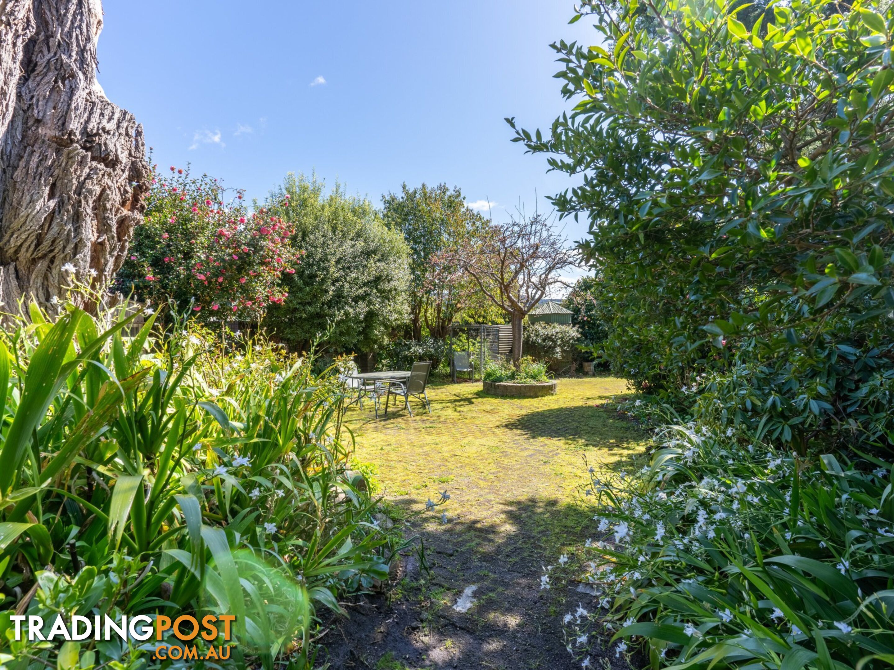 497 Lottah Road GOULDS COUNTRY TAS 7216