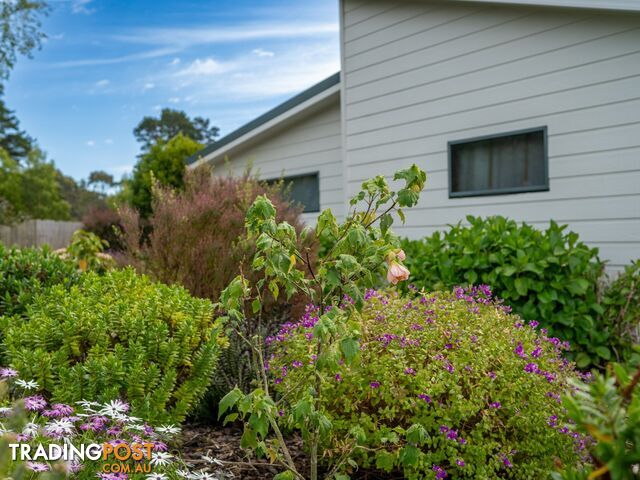 16 Bayvista Rise ST HELENS TAS 7216