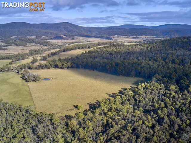 Lot 1/233 Ferndale Road BICHENO TAS 7215