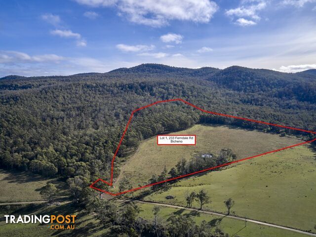 Lot 1/233 Ferndale Road BICHENO TAS 7215