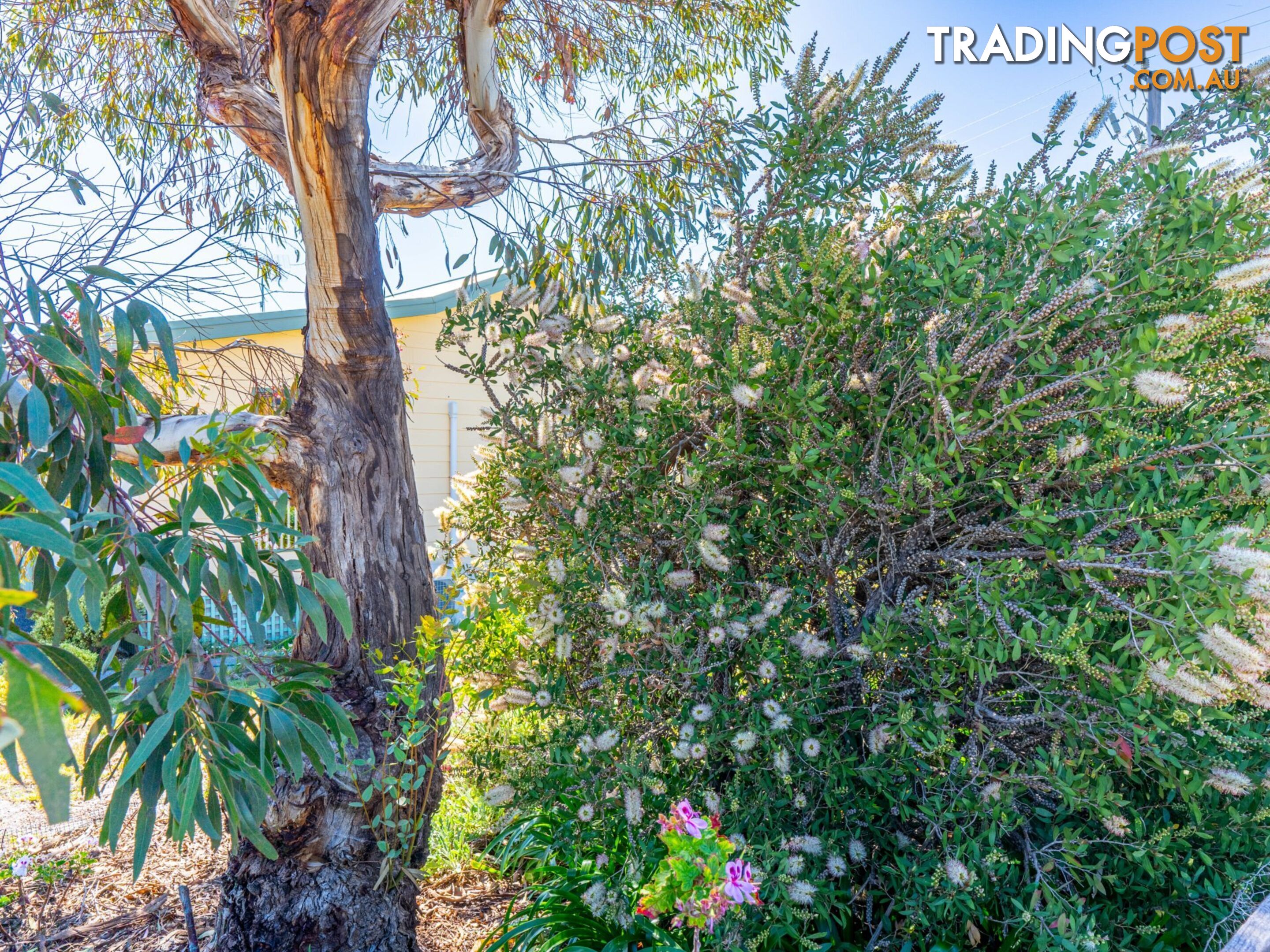 17 Parnella Drive STIEGLITZ TAS 7216