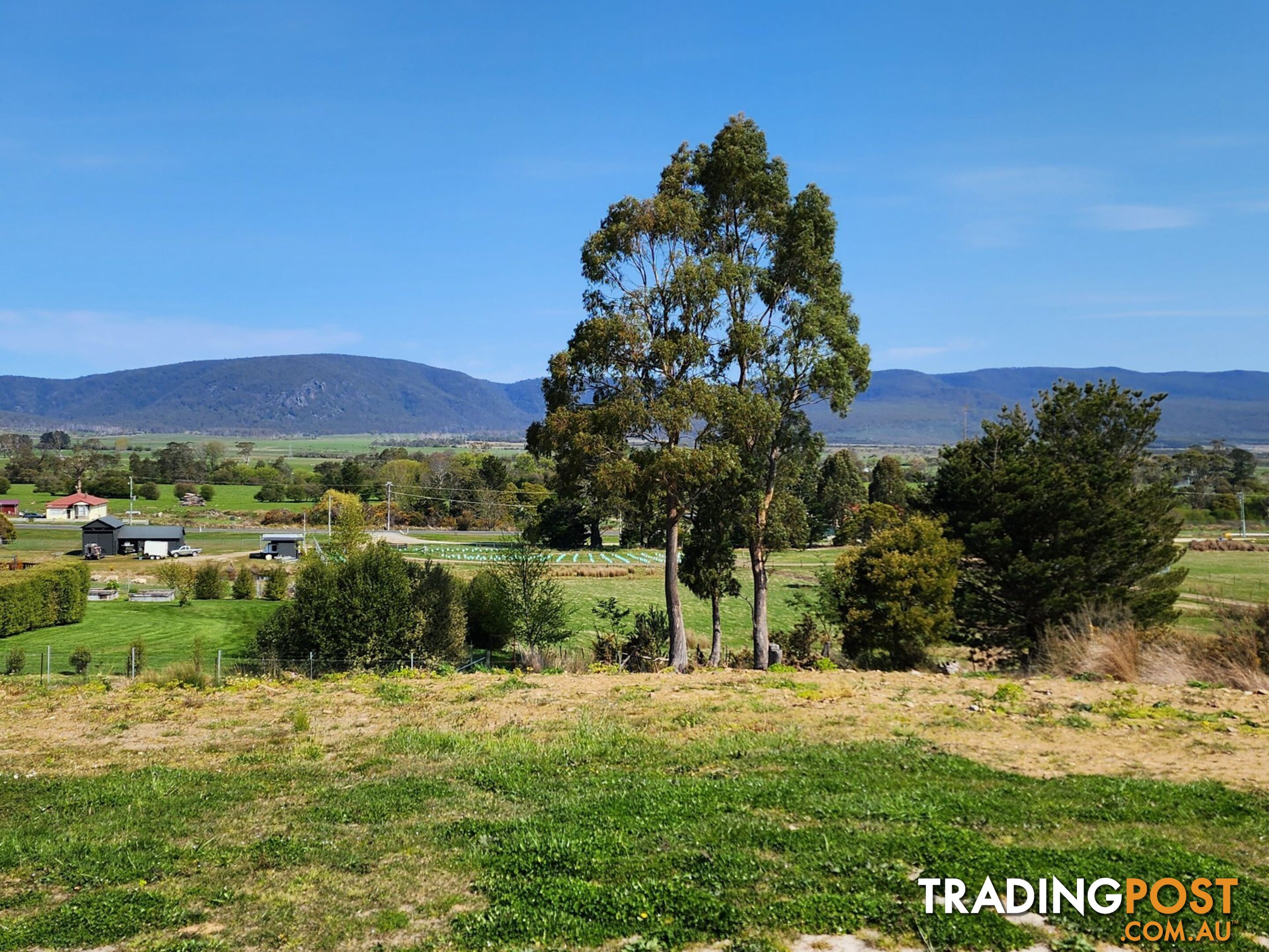 Lot 1/46 Gardiners Creek Road ST MARYS TAS 7215