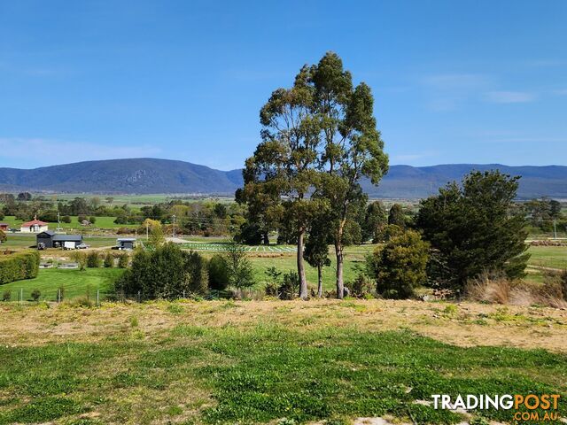 Lot 1/46 Gardiners Creek Road ST MARYS TAS 7215