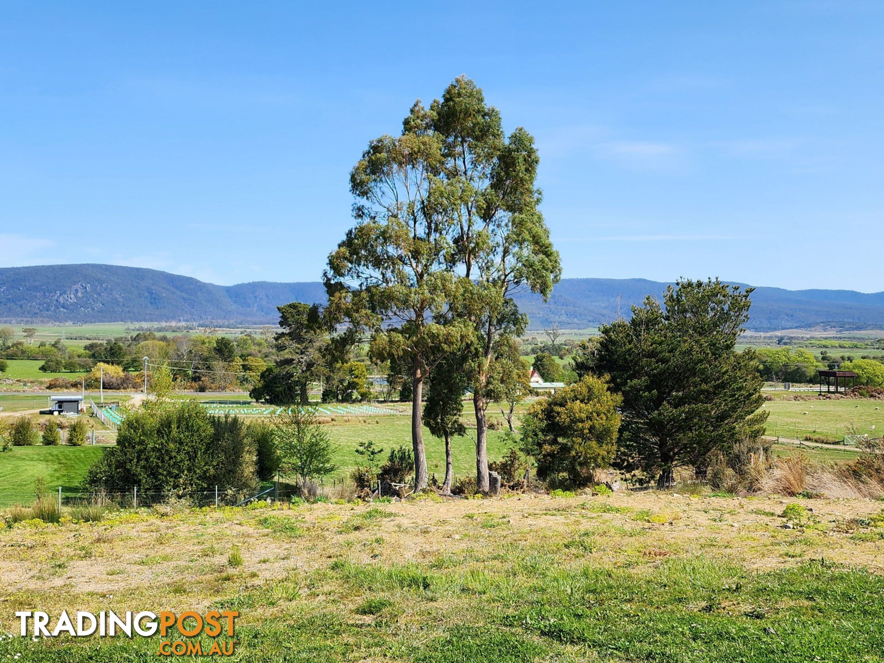 Lot 1/46 Gardiners Creek Road ST MARYS TAS 7215