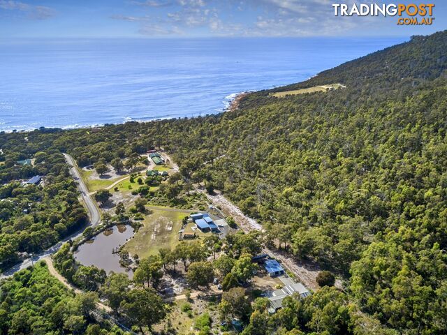 363 HARVEYS FARM ROAD BICHENO TAS 7215