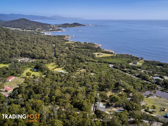 363 HARVEYS FARM ROAD BICHENO TAS 7215