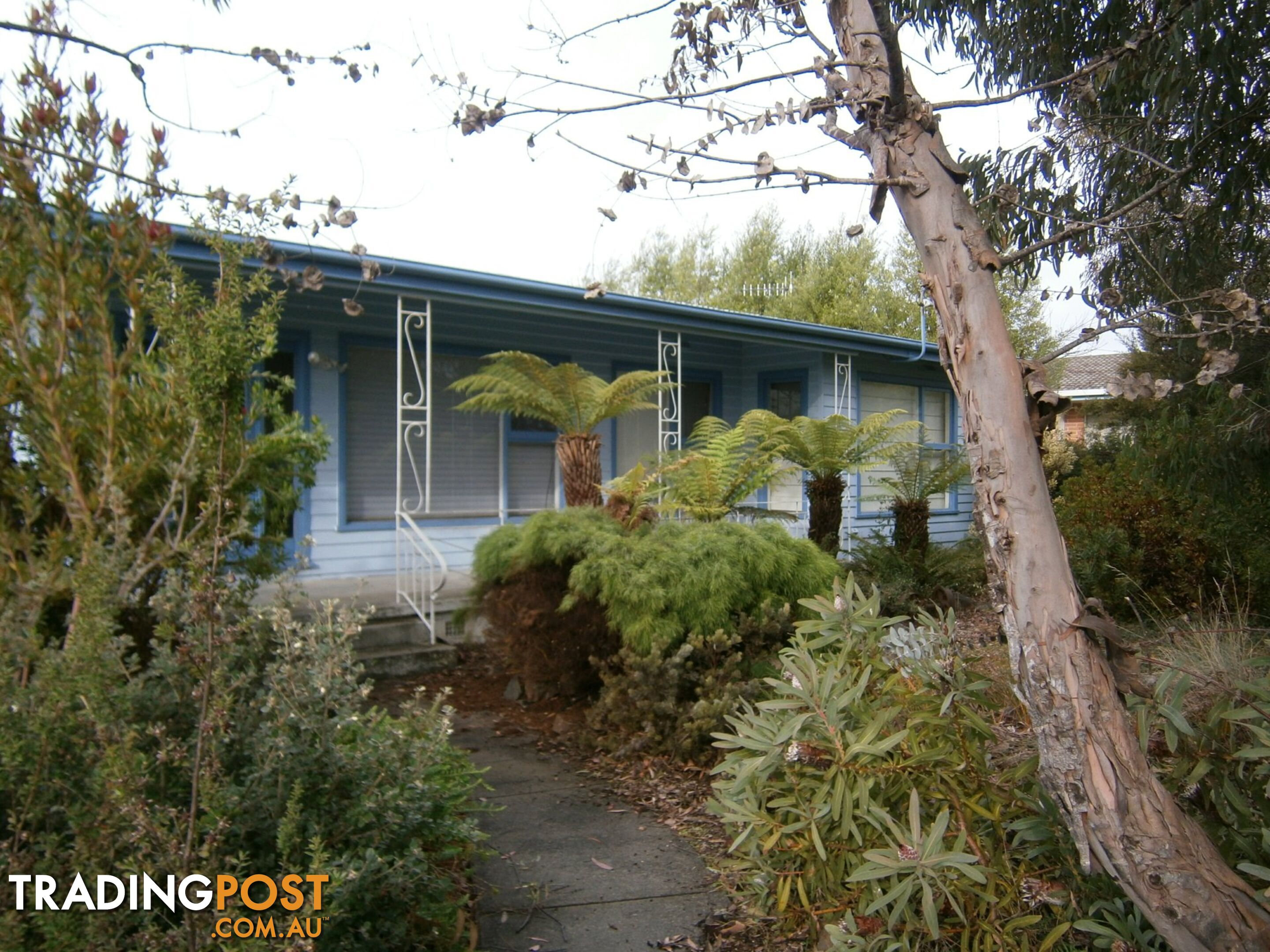 12 Medea Street ST HELENS TAS 7216