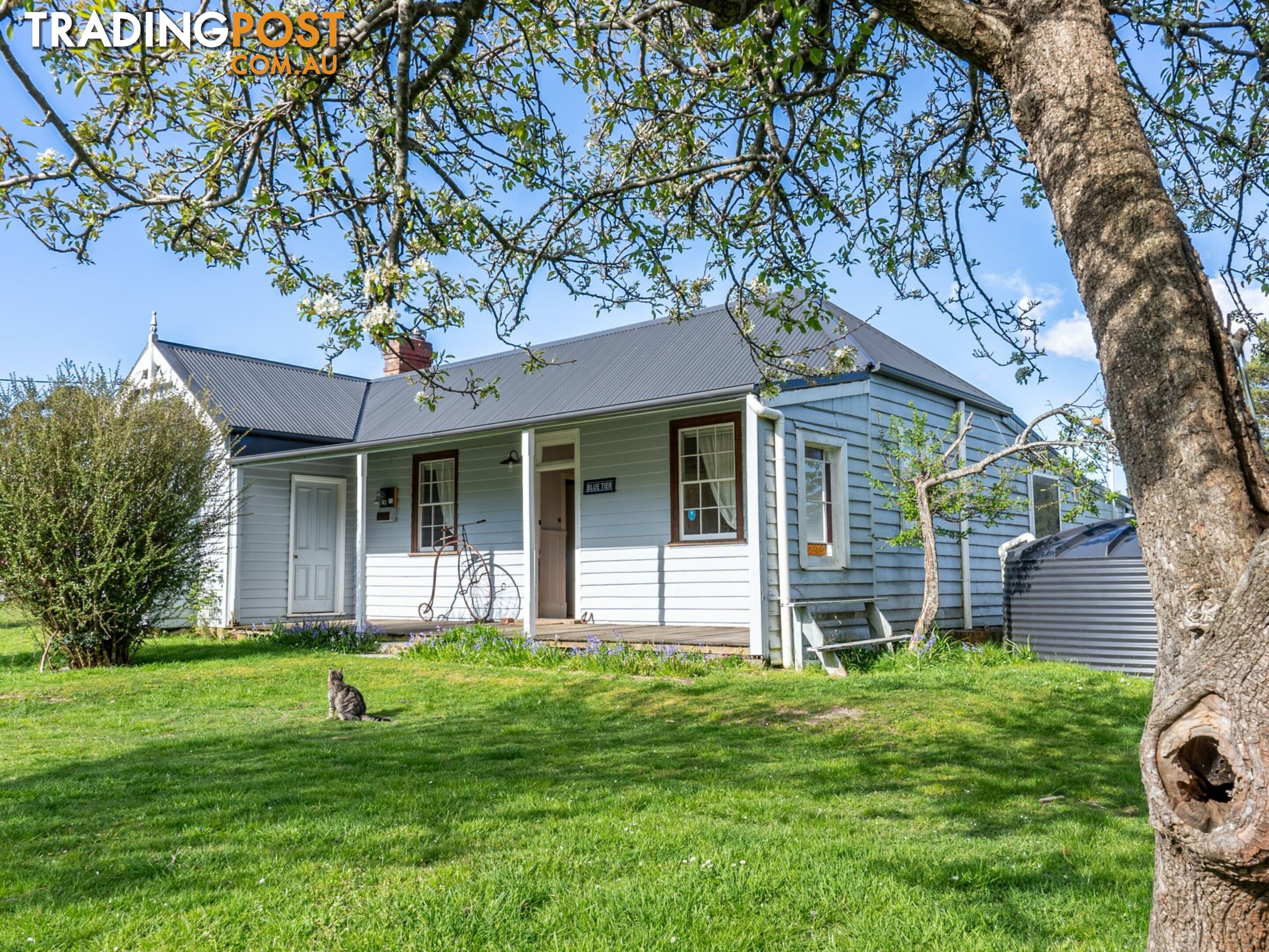 29766 Main Road WELDBOROUGH TAS 7264