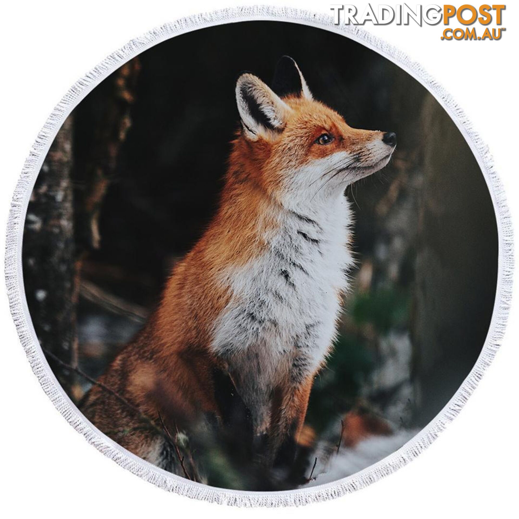 Beautiful Fox Beach Towel - Towel - 7427046307819