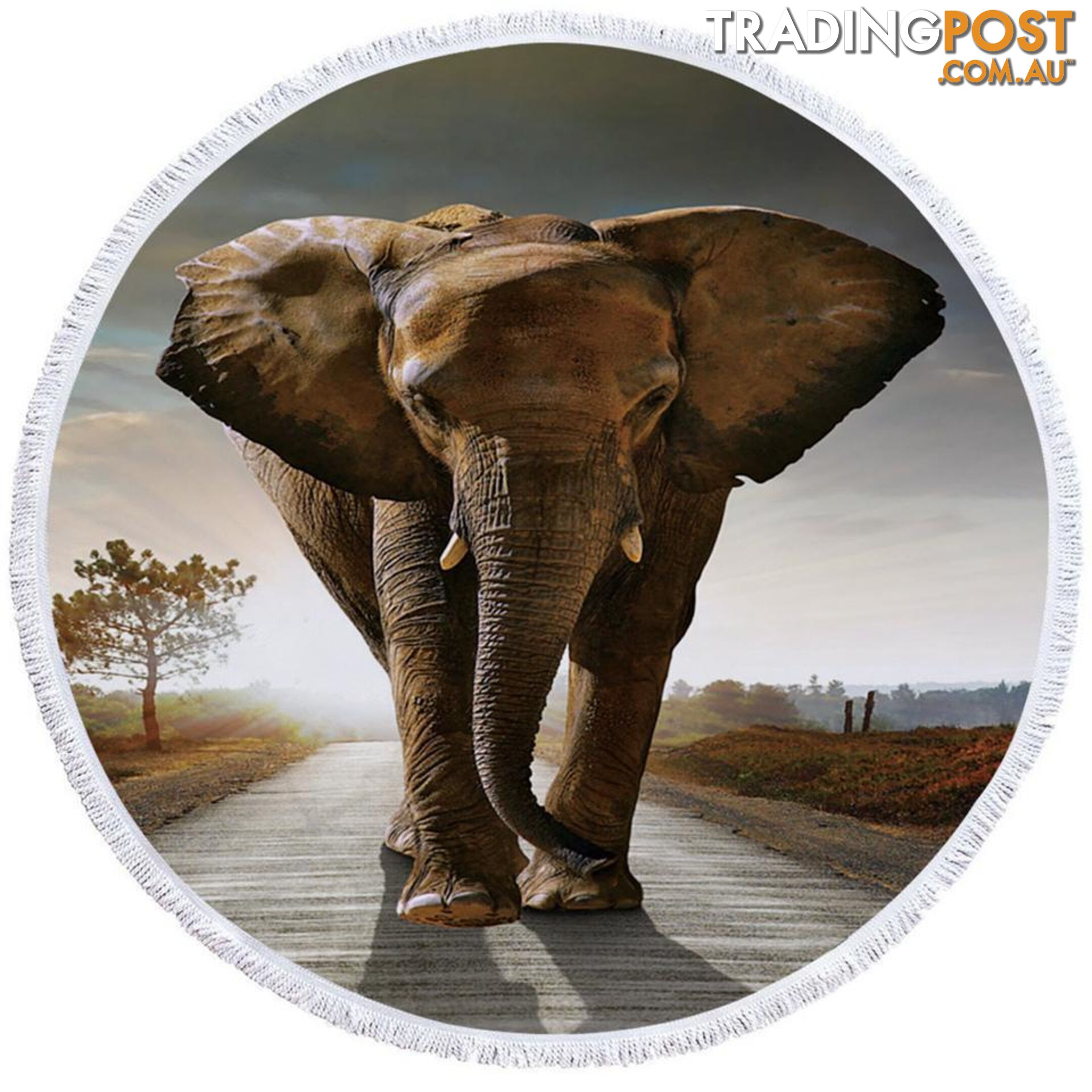 Elephant Photo Beach Towel - Towel - 7427046325868