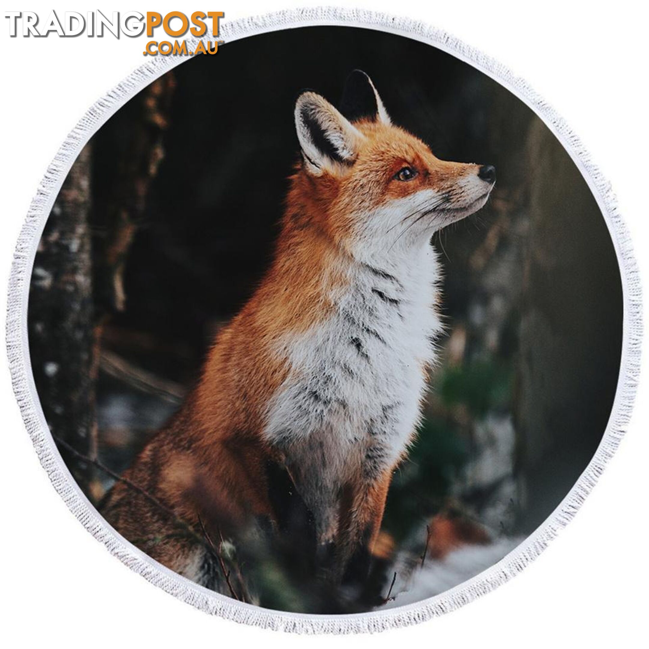 Beautiful Fox Beach Towel - Towel - 7427046307826