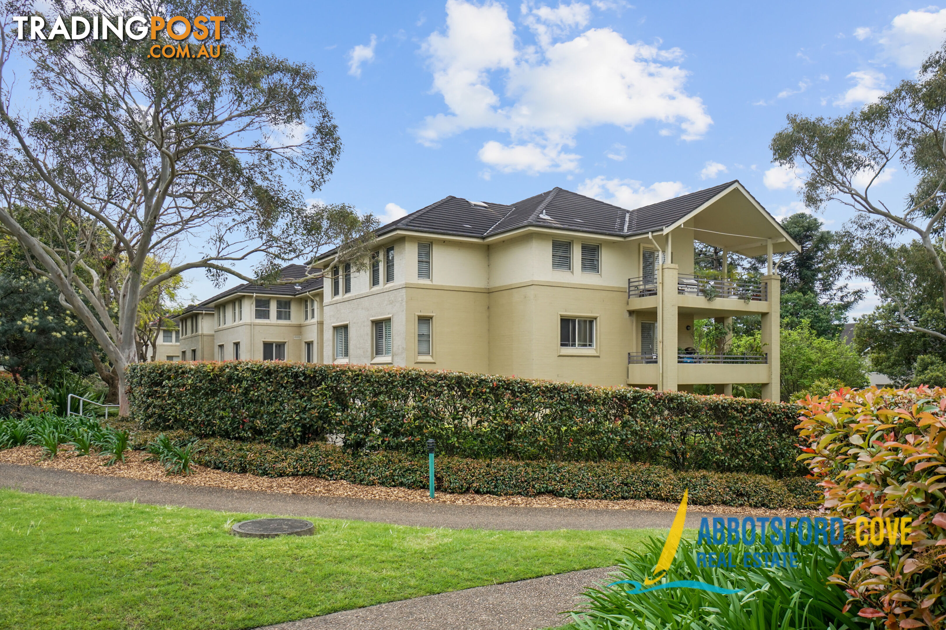 5 1 Fig tree Avenue ABBOTSFORD NSW 2046