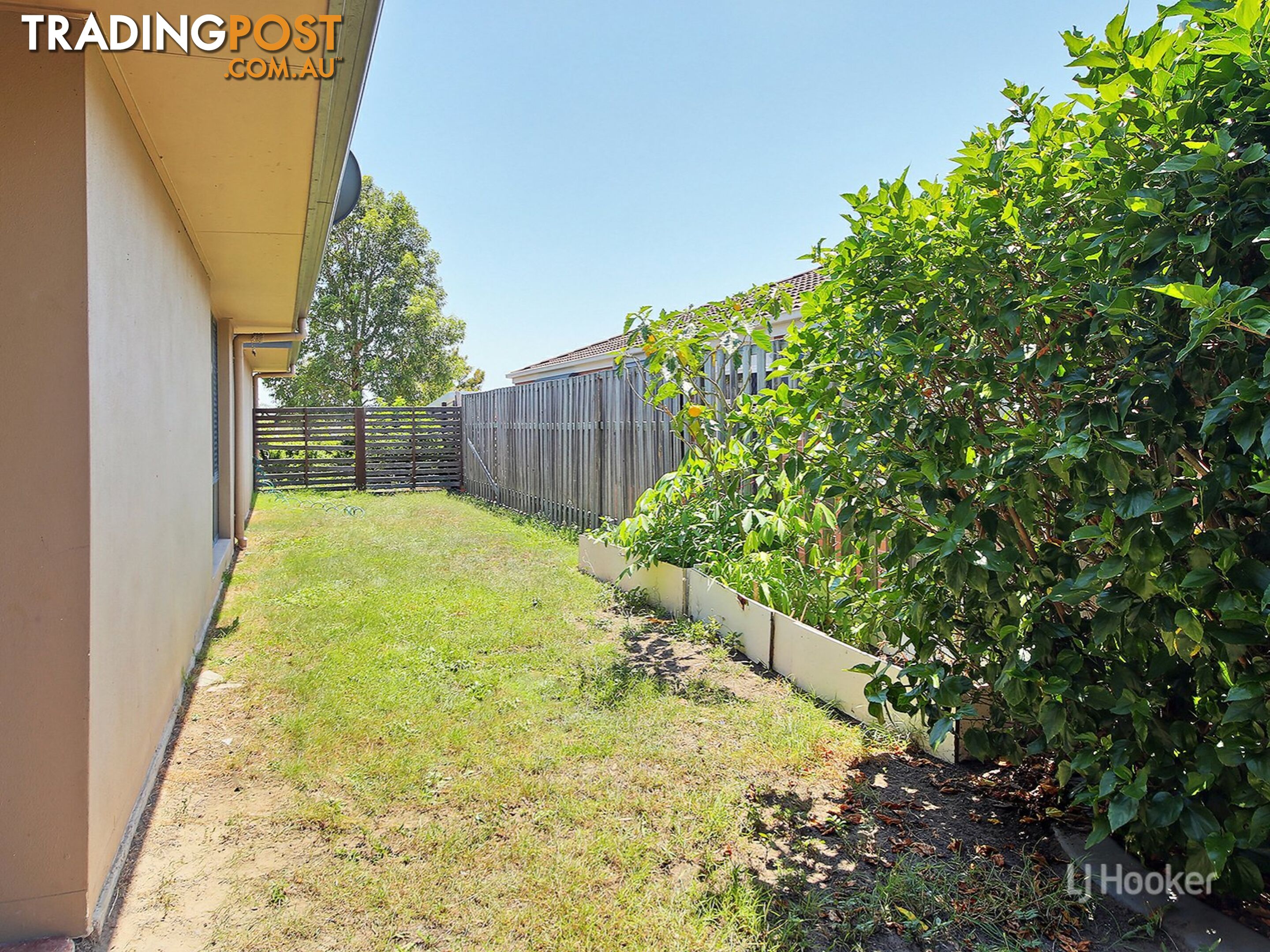 6 Budawang Street PARKINSON QLD 4115