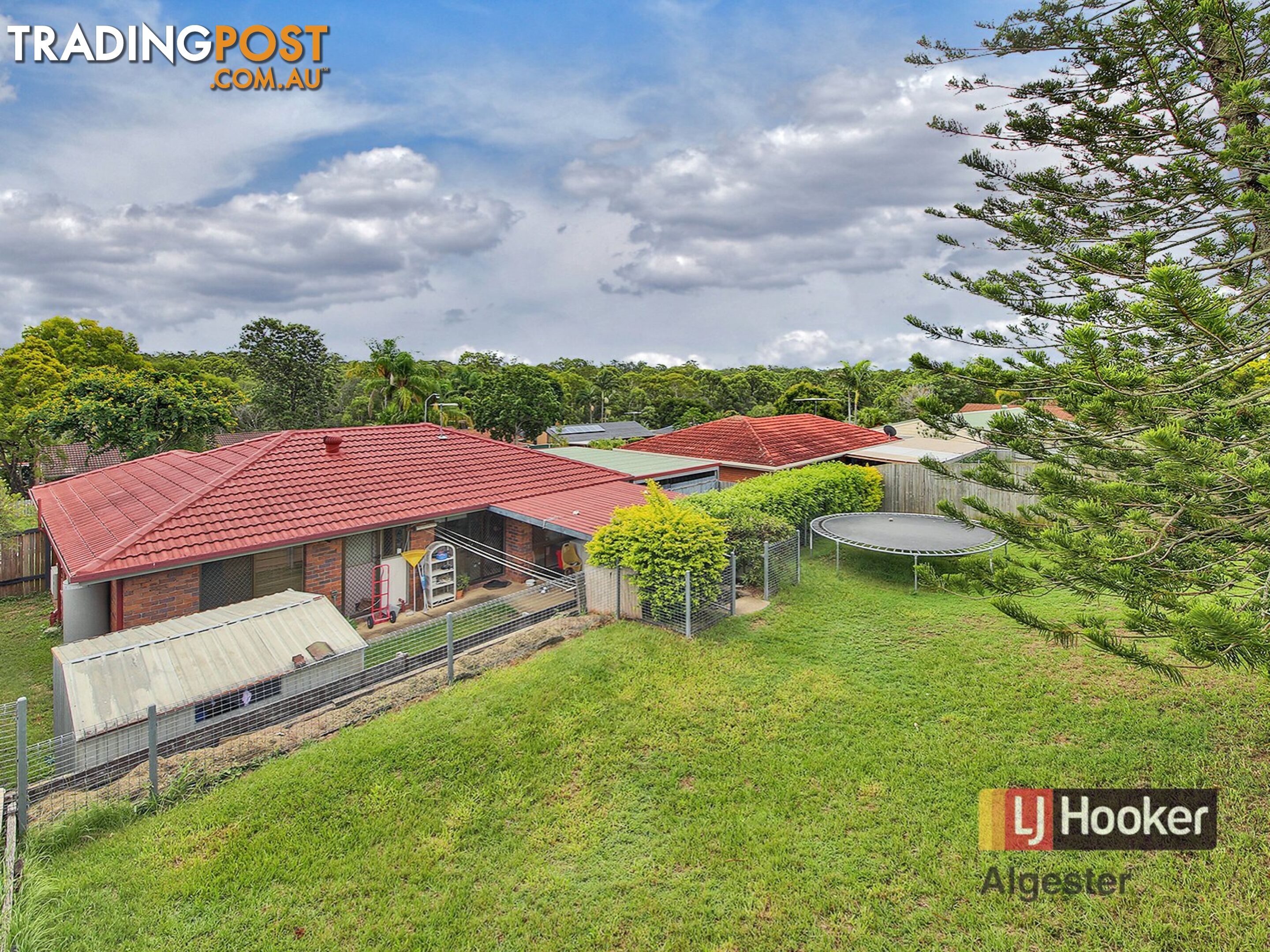 43 Owenia Street ALGESTER QLD 4115