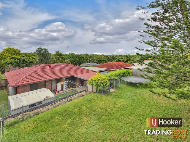 43 Owenia Street ALGESTER QLD 4115