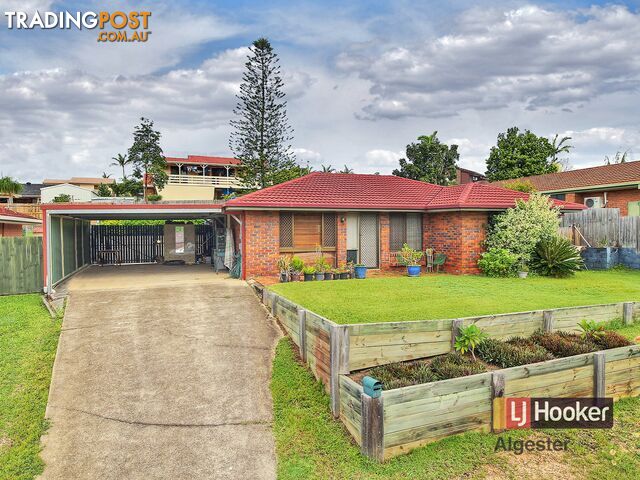 43 Owenia Street ALGESTER QLD 4115