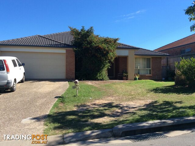 14 Mt Flinders Place ALGESTER QLD 4115