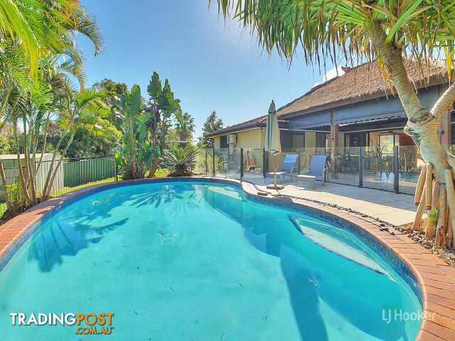 50 Owenia Street ALGESTER QLD 4115