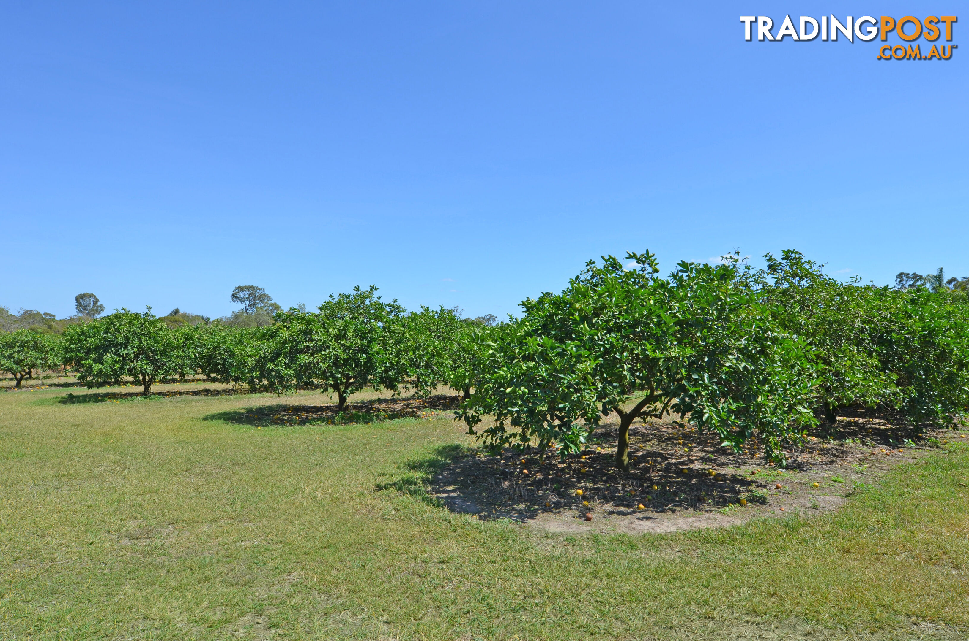 28 Facet Drive Mareeba QLD 4880