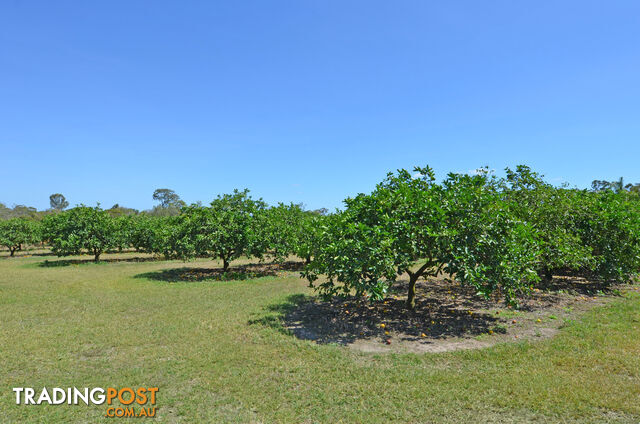 28 Facet Drive Mareeba QLD 4880