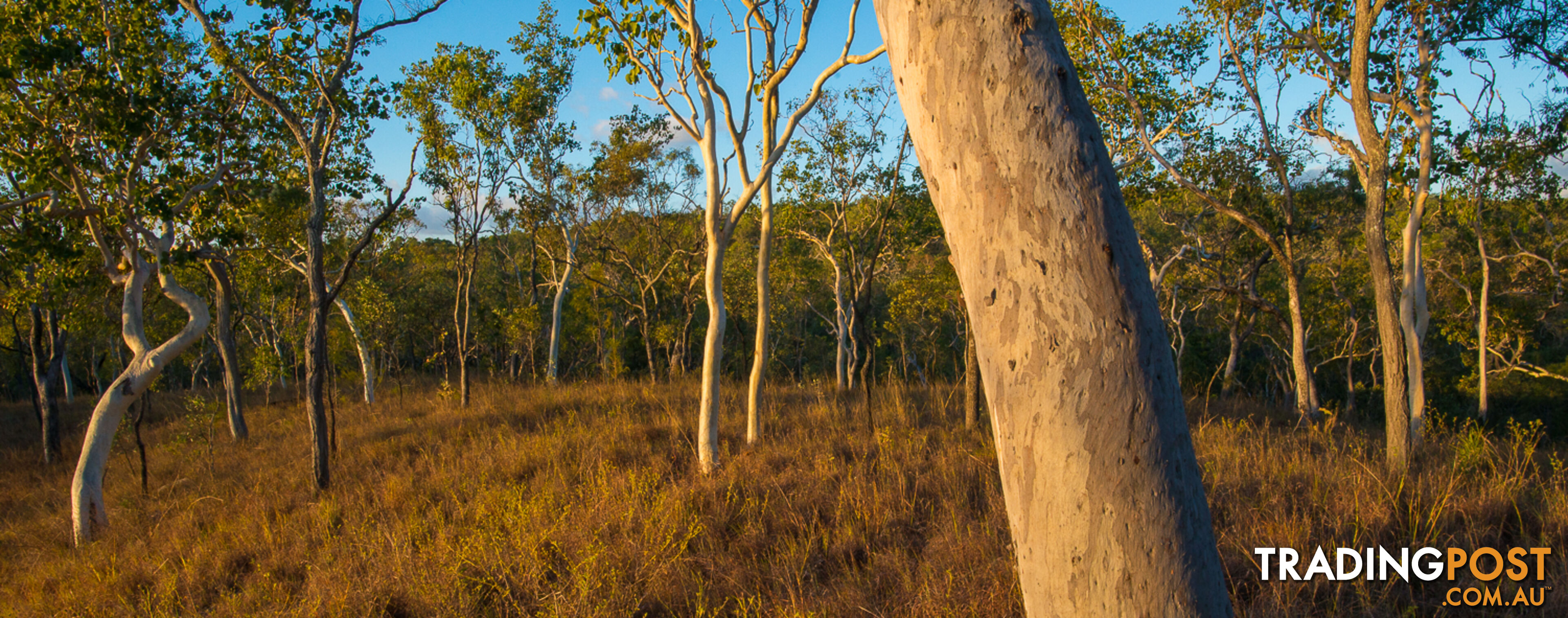 7 Emerald Falls Road Mareeba QLD 4880