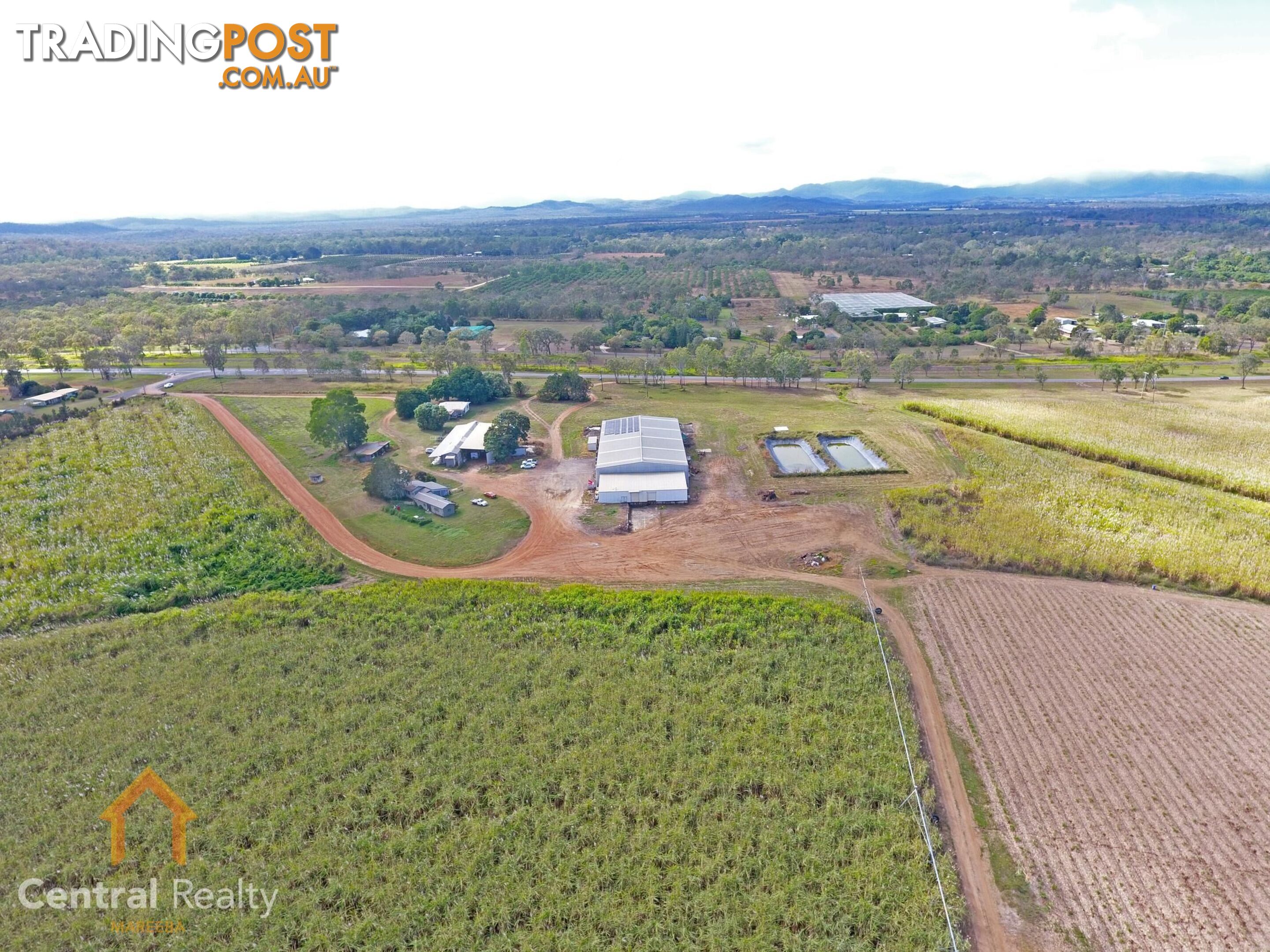 341 Mulligan Highway Mareeba QLD 4880