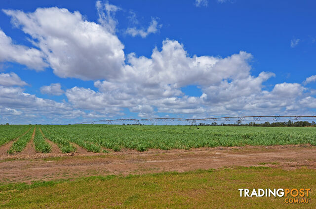 Biboohra QLD 4880